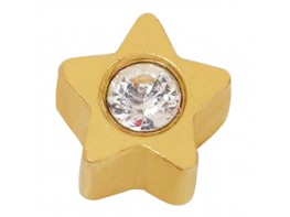 Imagen del producto Prim pendiente inverness 24C estrella dorada natural